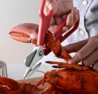 Tesoura de Frutos do Mar