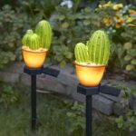Estaca de luz de cacto movida à energia solar