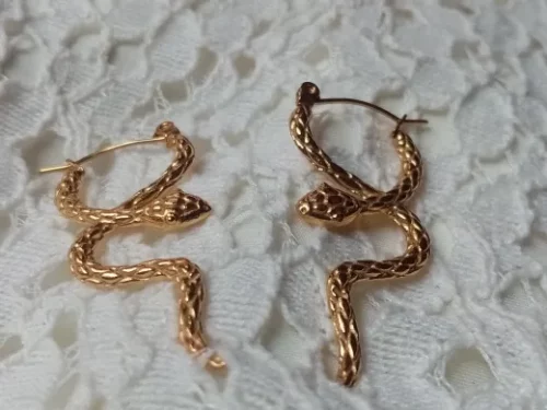Brinco Minimalista Banhado a Ouro – Charming Snake photo review