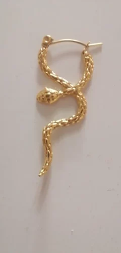 Brinco Minimalista Banhado a Ouro – Charming Snake photo review