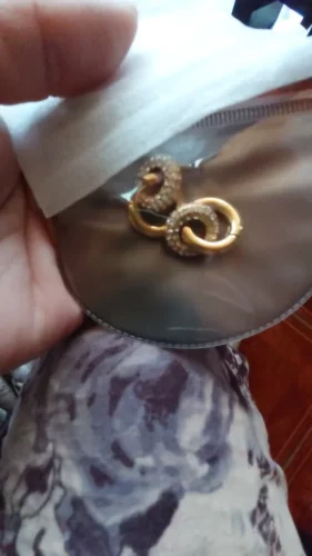 Brinco Argolinha Banhado a Ouro 18k – Elegant Shine photo review