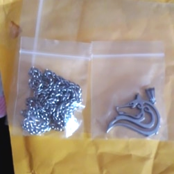 Corrente com Pingente de Lobo – Wild Wolf photo review