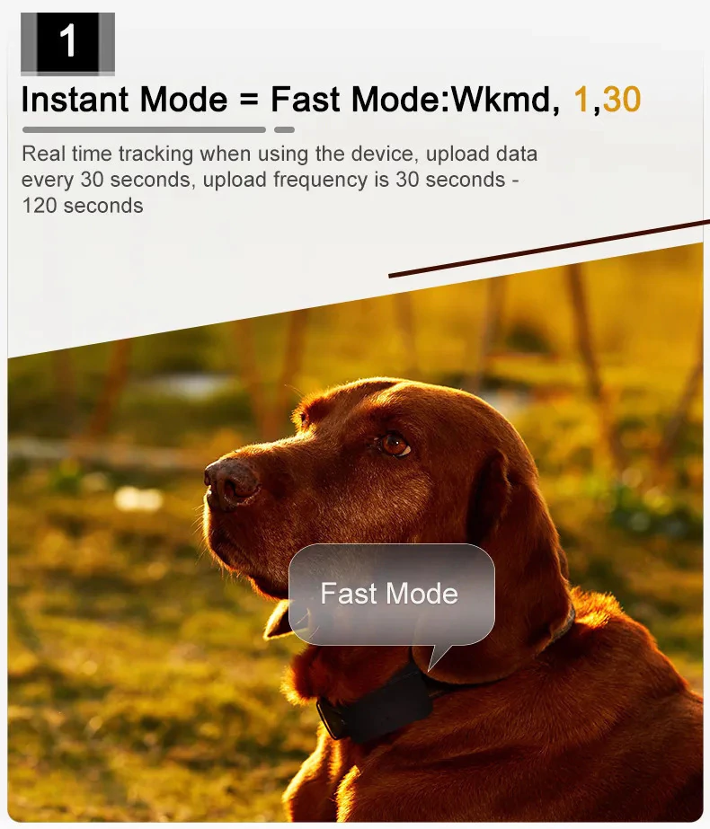 mini-rastreador-gps-4g_04